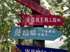 -沂蒙山旅游区云蒙景区(蒙山国家森林公园)