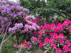 -名花谷生态庄园