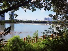 -长白岛森林公园