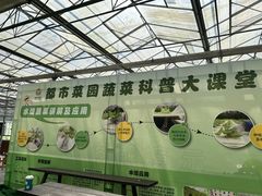 -上海都市菜园