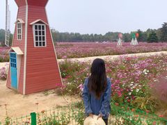 -日照灯塔风景区