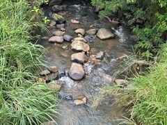 -海南热带雨林国家公园吊罗山景区