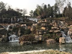 -秀丽东方