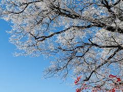 -亚布力新体委滑雪场