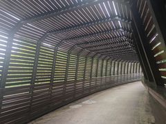 -昆山城市生态森林公园