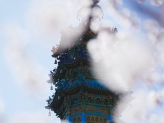 -颐和园