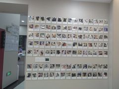 -御宝贝24h宠物医院·转诊中心·CT核磁血透中心(厦门总院)
