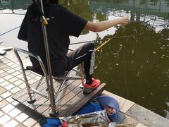 -酷鱼垂钓CLUB(朝阳区博大路店 )