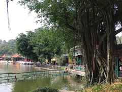 景点-珠海圆明新园