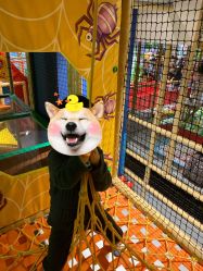 -波比一号儿童乐园(圣熙8号店)