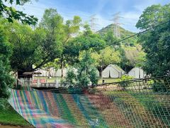-东莞市大岭山森林公园