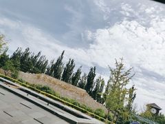 -永定河休闲森林公园