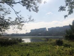 -华侨城湿地公园
