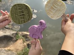 -中国科学院西双版纳热带植物园