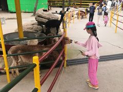 -西霞口神雕山野生动物世界