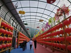 -野三坡刘家河高山漂流