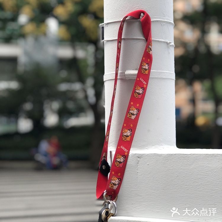 随手拍，生活片段。