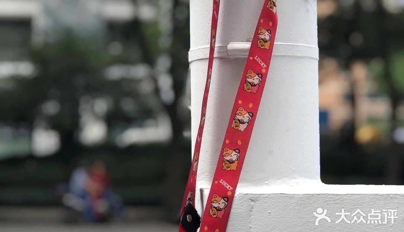 随手拍，生活片段。