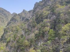 -牛背梁国家森林公园