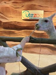 -酷嗒动物文化乐园(cutezoo西溪乐天城店)