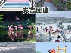 -上海城隍庙