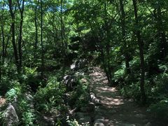 -大岭沟猕猴桃谷风景区