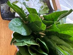 菠菜-左庭右院鲜牛肉火锅(环球港店)