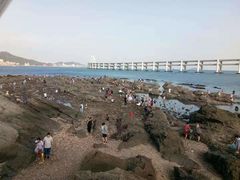 -海味当家·蒸锅海鲜(星海公园店)