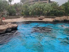 -珠海长隆海洋王国
