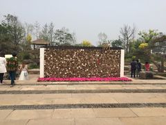 -武清南湖绿博园