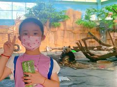 -泉州海丝野生动物世界