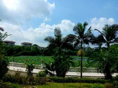 -鹤山碧桂园凤凰酒店