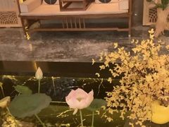 -汐悦汇足疗·星级·订制·唤醒SPA(西客站)