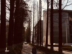 -武汉大学-樱园