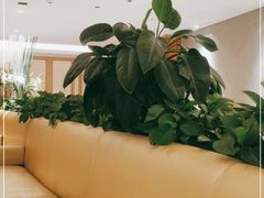 -衡山汇·高级粤菜(霄云路店)