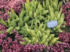 -国家植物园南园