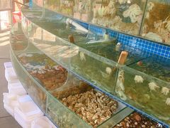 水产区-蟹谢蒸鲜自助餐厅