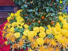 -佛山市祖庙博物馆