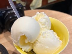 -古树酸奶(八廓南街店)