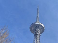 -龙塔