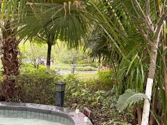 -海兰云天度假区温泉