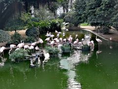 -九龙公园