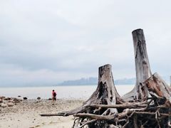 -巽寮印象美食部落餐厅·海鲜·地方特色菜(惠州体验店)