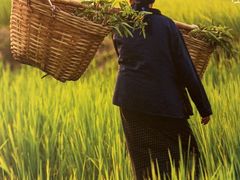 -老丰家·萍乡小炒肉(御锦园店)