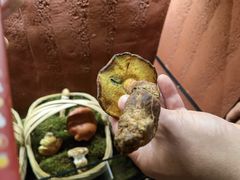 -滇野云南野生菌餐厅(陕西南路店)
