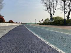 -贡湖湾湿地公园