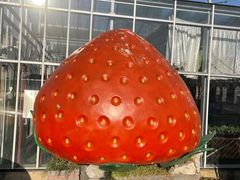 -建德果蔬乐园绪塘草莓基地