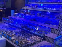 -青蓬蒸汽海鲜·深圳老字号·团建聚会(壹方城店)