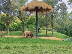 -北京野生动物园