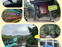 -广东天露山旅游度假区